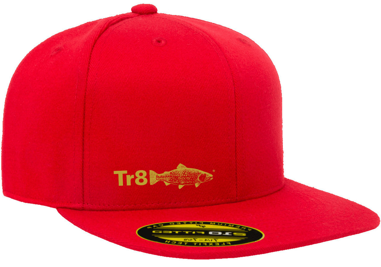 TR8 Kid's cap