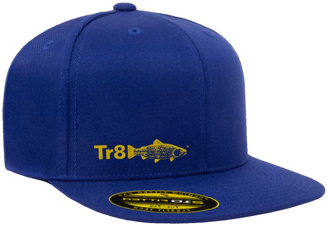 TR8 Kid's cap