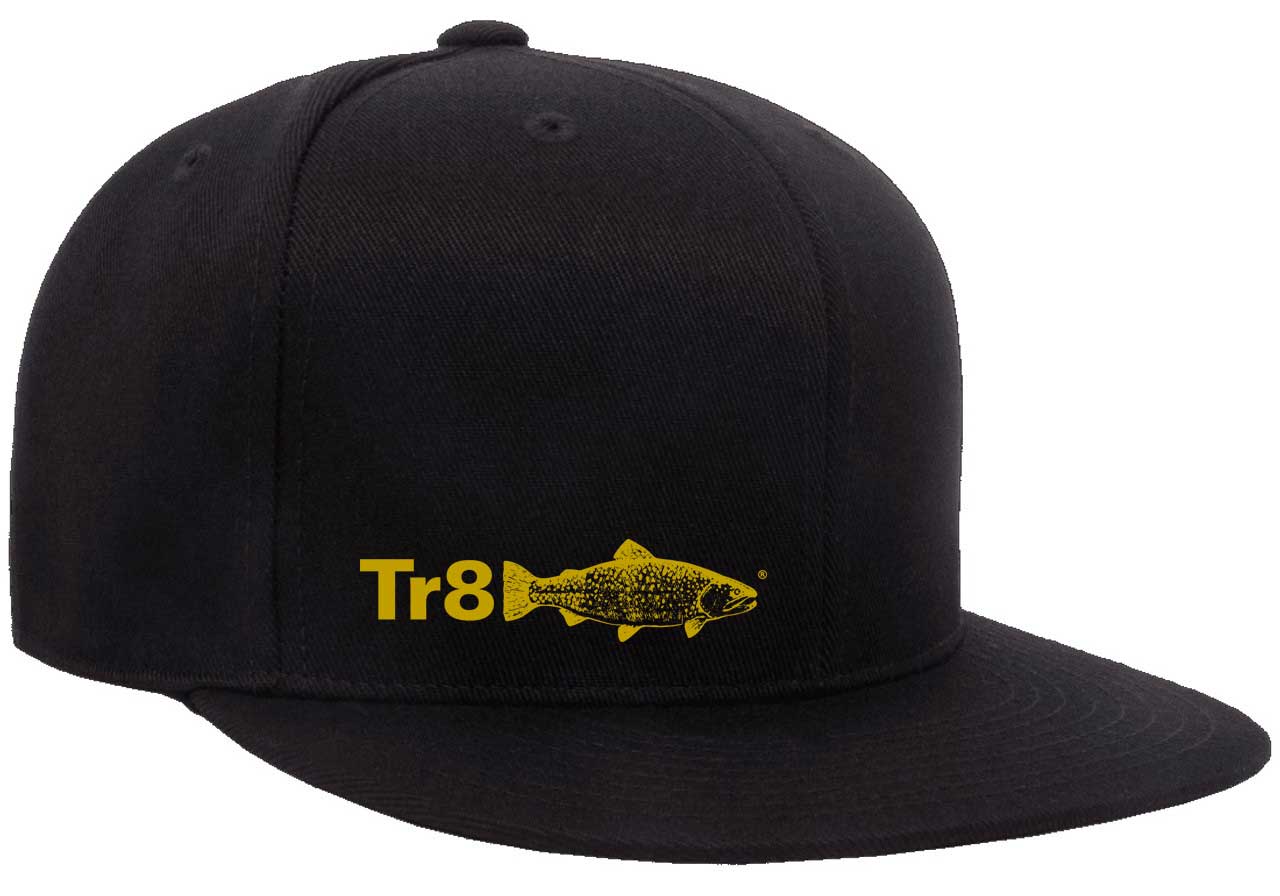 TR8 Kid's cap